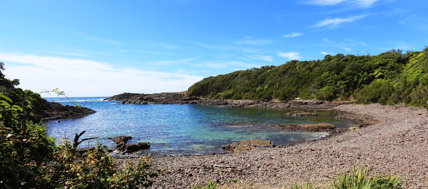 Picture of Bushranger Bay aquatic reserve with trees around the edge and a sandy beach.