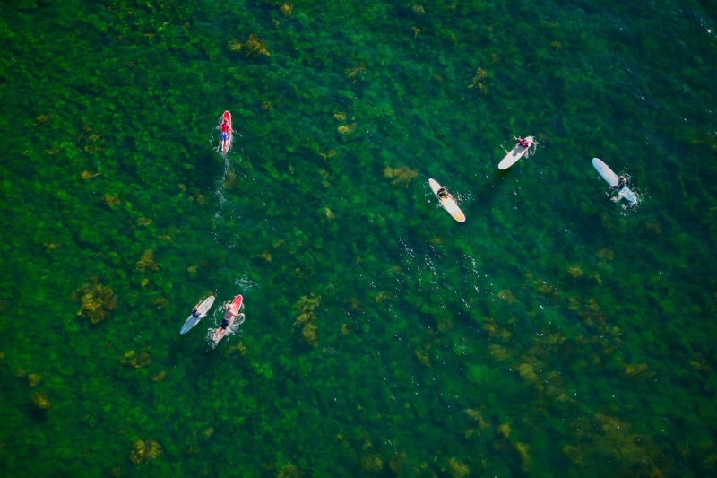 Aerial view of 6 people on boards in clear green water.