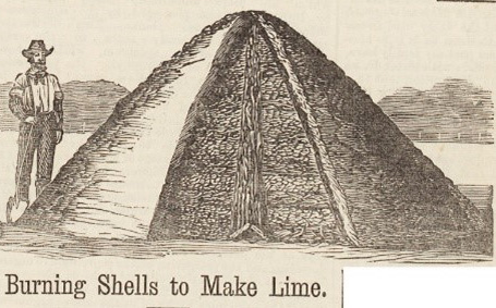 An engraving from old newspaper clipping showing oyster shells for lime piled in a large heap. A man stands beside the heap of shells, it is as tall as him. 