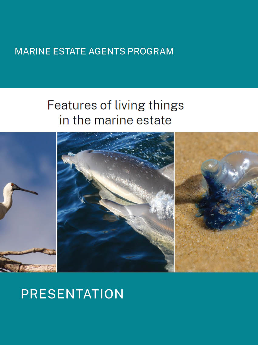 Features-of-living-things-pres-image.jpg