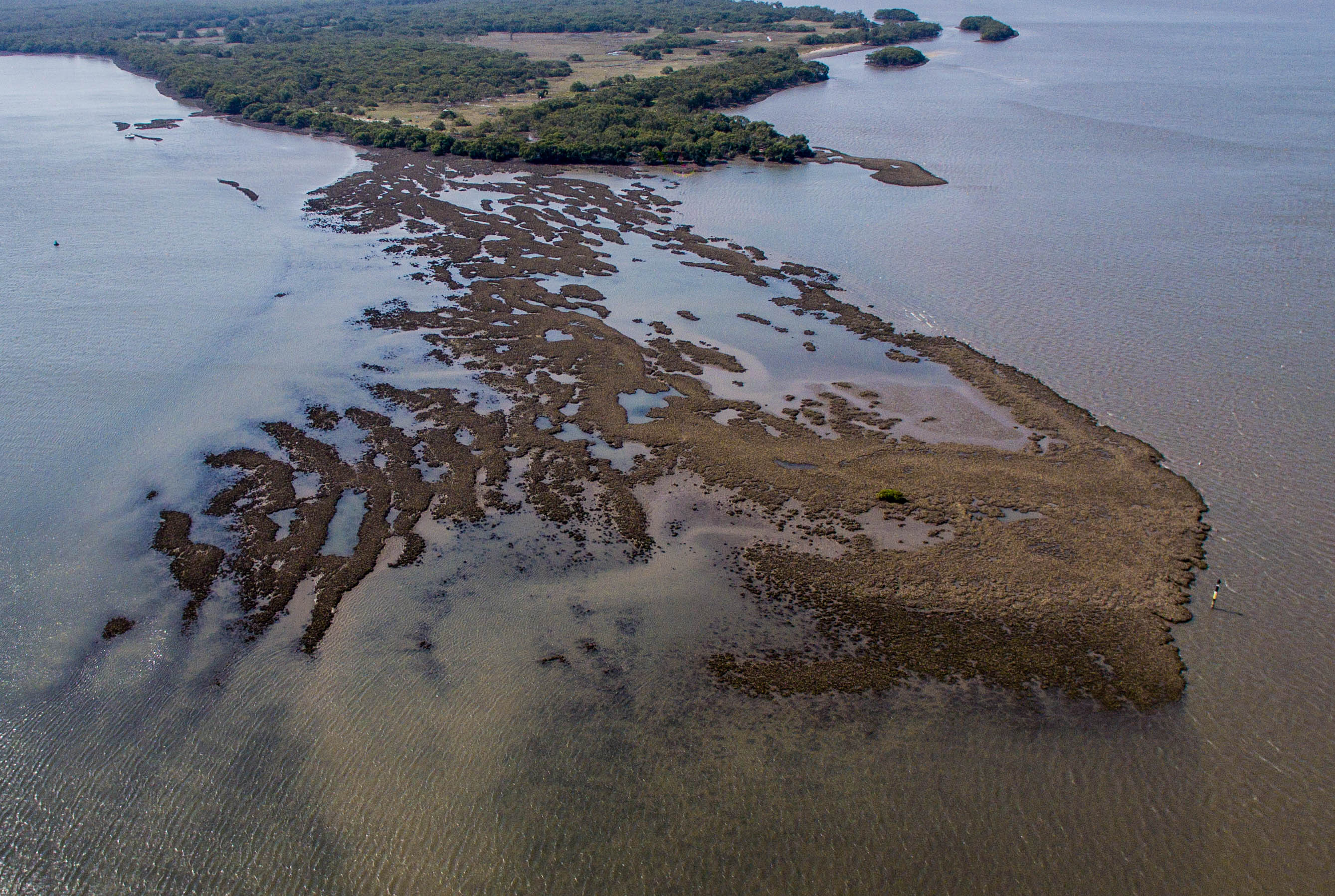 An aerial view of a natural oyster reef
