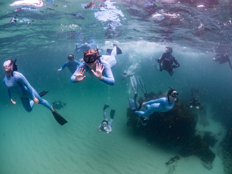 Water quality and litter