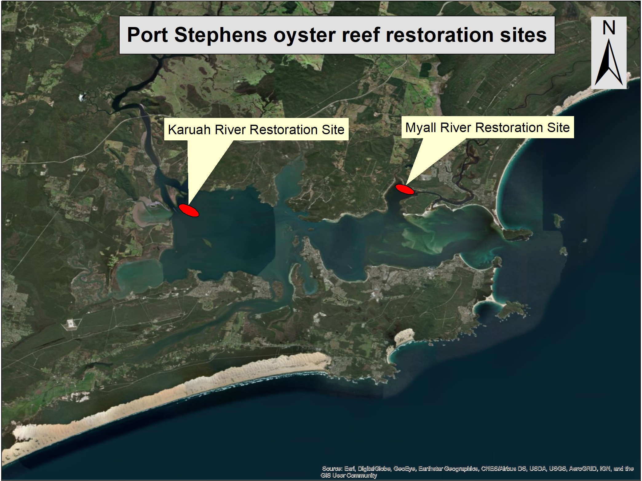 A map view of oyster reef restoration sites in Port Stephens