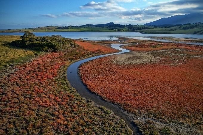 Aerial image of saltmarsh.