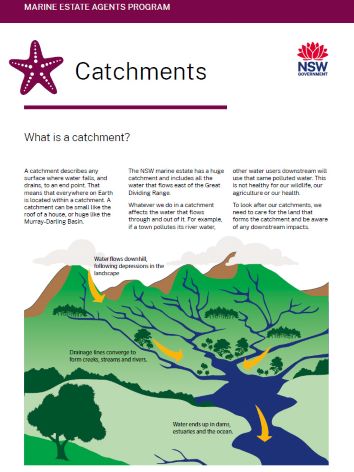 Marine-Estate-Agents-Program-Catchments_.jpg