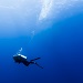  diving -484092196 - credit iStock.com-MaFelipe.