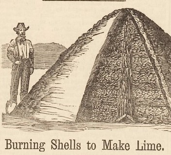 Drawing of man standing near pile of oysters