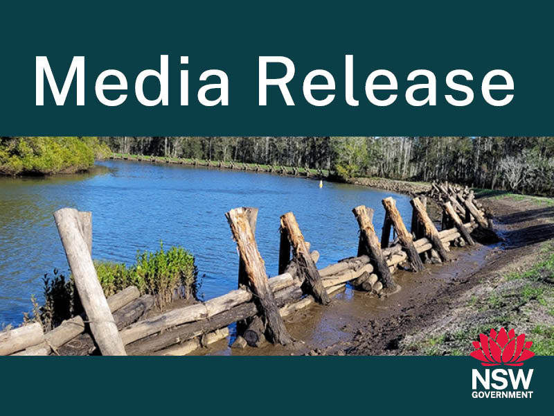 log structure stabilises river bank