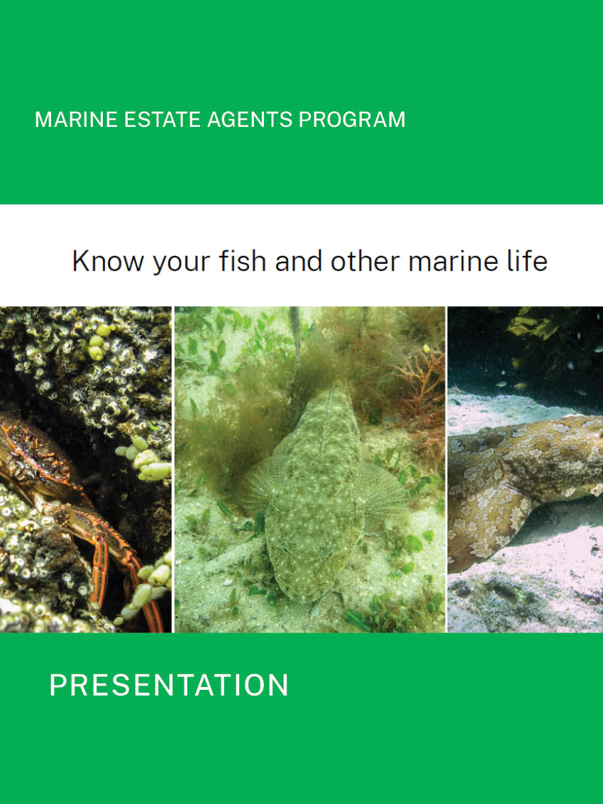 Know-your-fish-pres-image.jpg