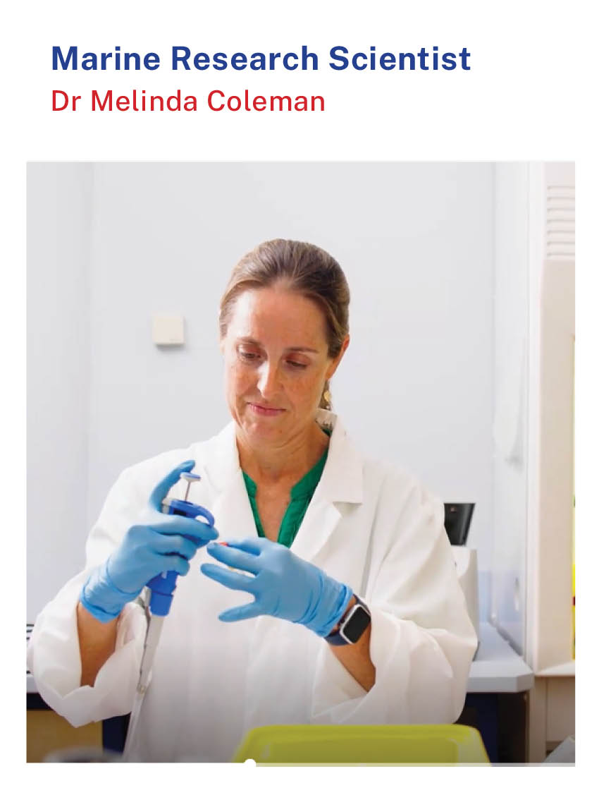 Marine-Research-Scientist.jpg