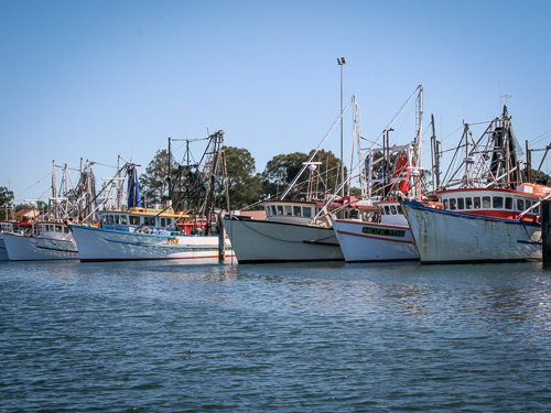 A line of commercial fishing boats are tied up in a harbour with blue sky and calm water in the foreground.