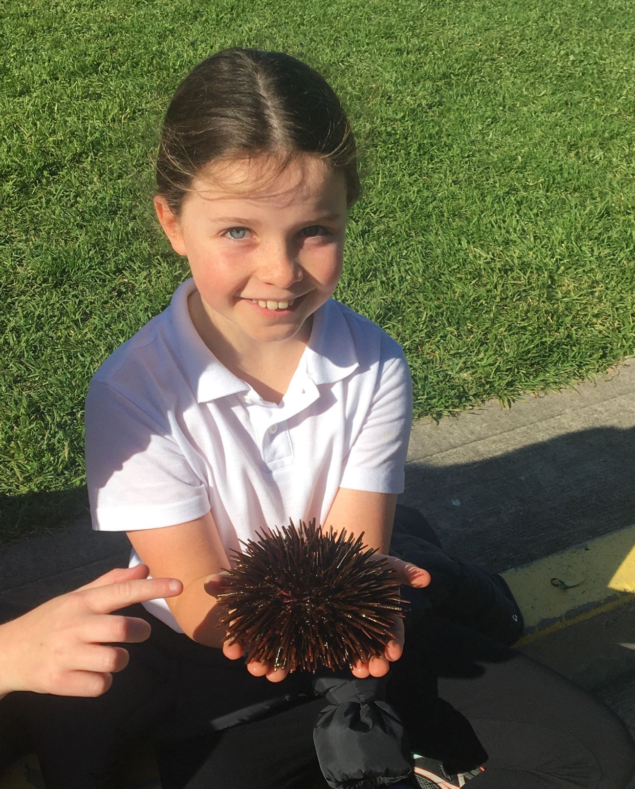 Girl holding sea urchin