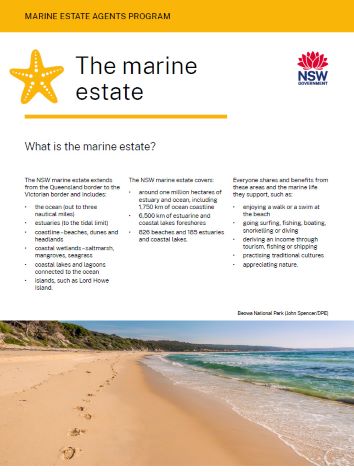 Marine-Estate-Agents-Program-The-Marine-Estate_.jpg