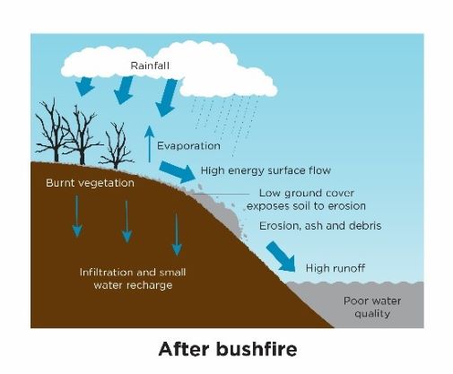 Image showing that heavy rainfall after a bushfire will result in a lot of sediment and ash running into waterways which creates poor water quality.