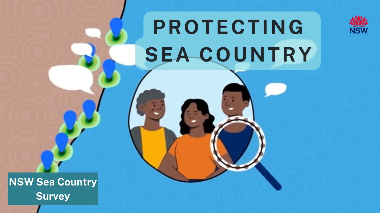 cartoon image NSW coast and 3 people in a magnifying glass