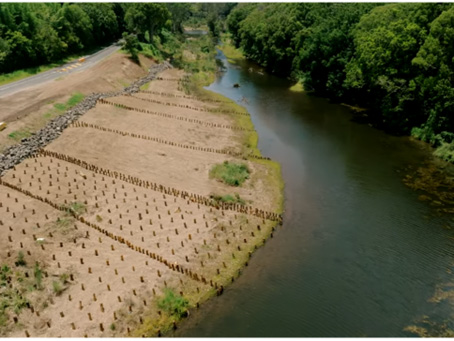 Aerial view of river and dozens of wooden stumps hammered into the bank.